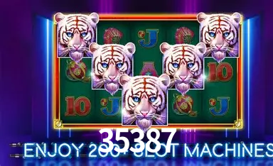 API Integration 35387